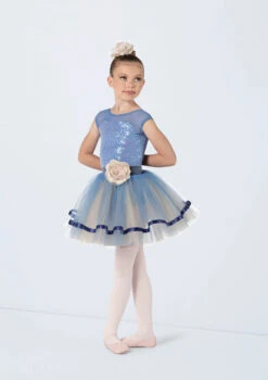 Weissman Ballerina, Ballerina -Dance costume 14401 periwinkle 41591 76118.1698817150