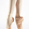 Capezio Contempora Pointe Shoe -Dance costume 176 capezio contempora pointe shoe pink front no1 15491.1678927060