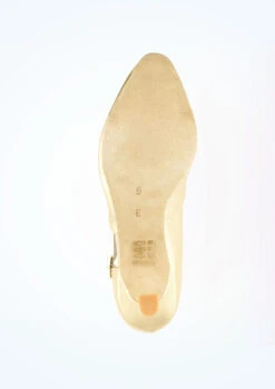 Dancesteps Foxtrot Dance Shoe 2.5" -Dance costume foxtrot dancesteps foxtrot dance shoe 2 5 gold no2 18290.1678927704