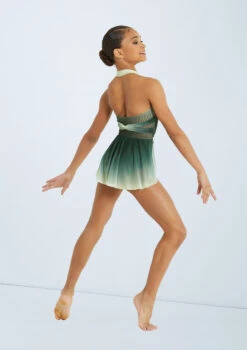 Weissman Lifelines 6 Weissman Lifelines -Dance costume pl11371 weissman draped ombre mesh leotard green back 00936.1678891376