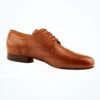 Werner Kern Mens Brogue Ballroom Shoes 2 Werner Kern Mens Brogue Ballroom Shoes -Dance costume we 28023 werner kern mens brogue ballroom shoes brown front 76568.1678928705